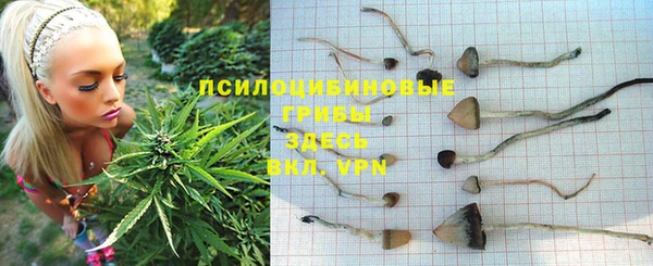 крисы Балабаново