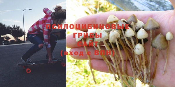 МДПВ Белокуриха