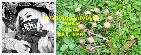 эйфоретик Армянск